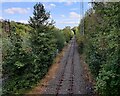 Railway line at Brookside, Telford