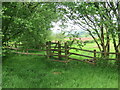 Gât fochyn / A kissing gate