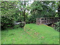 Rhyd a phompren / Ford and footbridge