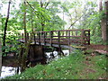 Pompren dros Afon Crai / A footbridge spans Afon Crai