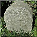 Old Boundary Marker on Playstreet Lane, Ryde