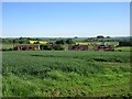 Rear end of Denend Cottages