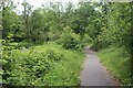 Cycleway bridge over river, Boltonhill