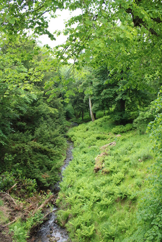 Catmoor Burn © Richard Sutcliffe cc-by-sa/2.0 :: Geograph Britain and ...