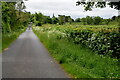 Glenfern Road, Clanabogan Lower