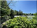 Llandaff Weir with Llandaff Rowing Club