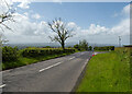 The Windyhill Road at Stradreagh