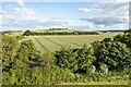 View towards Quarley Hill