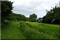 Path beside a stream