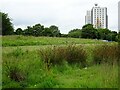 Lambwath Stream Aquagreen, Kingston upon Hull