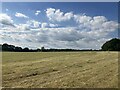 Fields south of Dorking