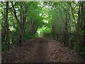 Clyde Walkway