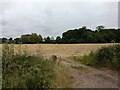 Footpath across the field