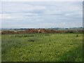 Silage at Auchnavaird