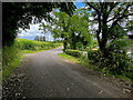 Clanabogan Road, Fireagh (Thompson)