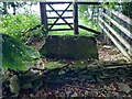 Stone stile near Leygore Cottages, Turkdean GS9389