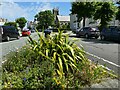 Floral arrangement, Madoc Street, Llandudno