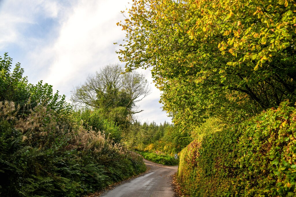 Withycombe : Church Street © Lewis Clarke cc-by-sa/2.0 :: Geograph ...