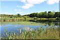 Pond near Thornton