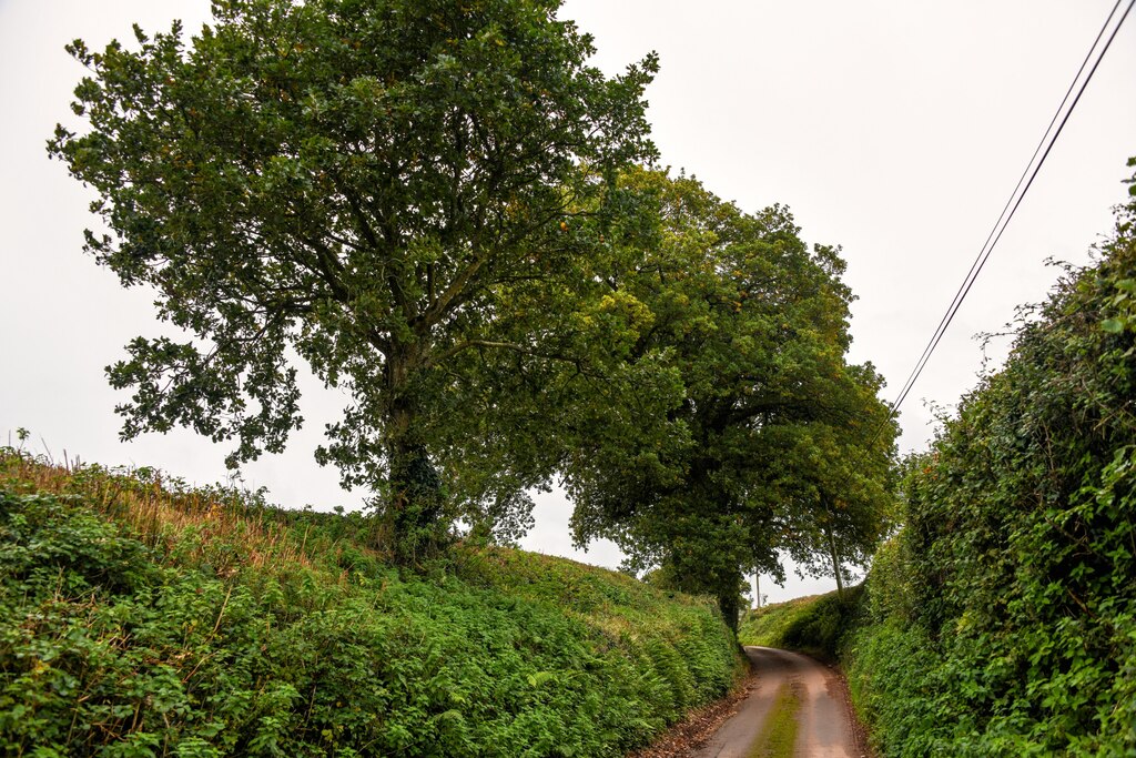 Withycombe : Blindwell Lane © Lewis Clarke cc-by-sa/2.0 :: Geograph ...