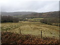 View from a charter train - the Dulais valley near Ty