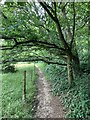 Greensand Way near Dorking