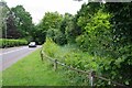 Pond by the London Road