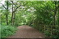 Bridleway 257 in Six Gates Wood