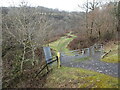 View from a charter train - passing a kissing gate, Dulais valley