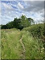 Footpath near North Holmwood