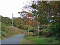 Autumn colour by Bennetts Lane