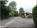 The leafy suburbs of Newcastle, Co. Down