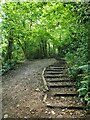 Steps up Bryn Euryn