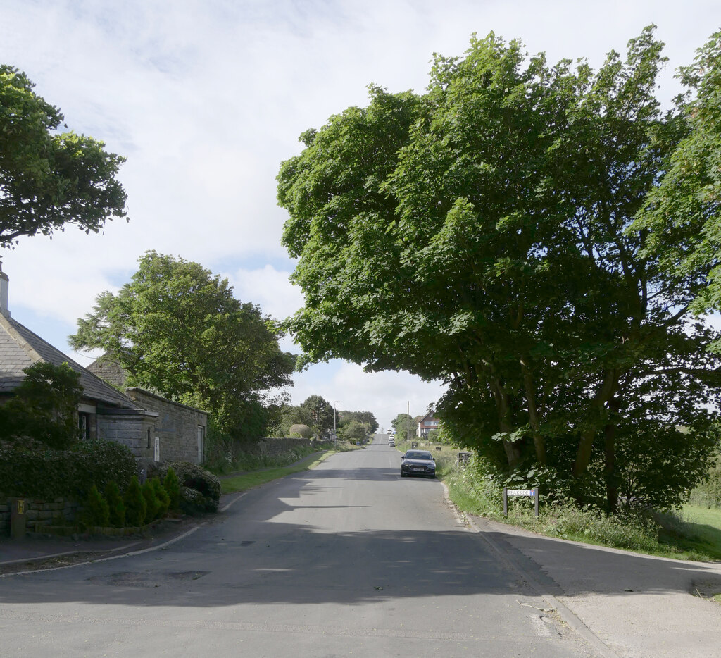 Raven Hall Road, Ravenscar © habiloid cc-by-sa/2.0 :: Geograph Britain ...