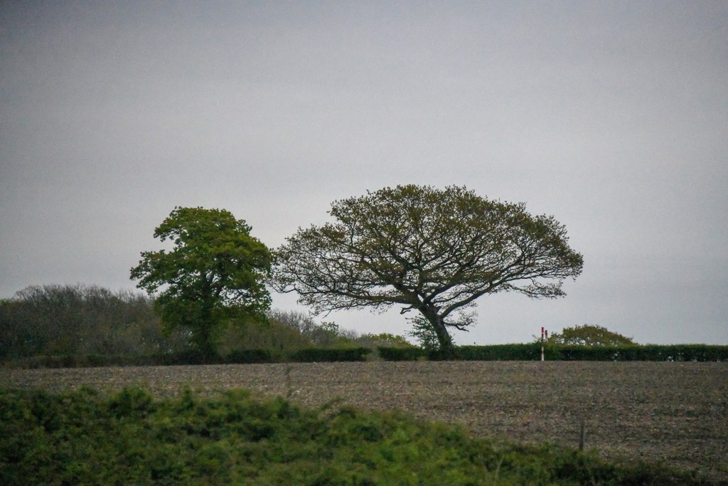 Almondsbury : Field © Lewis Clarke cc-by-sa/2.0 :: Geograph Britain and ...