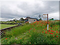 On the path to the lighthouse, Chanonry Ness