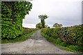 Oswestry Rural : Lane