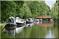 Grand Union Canal at Berkhamsted