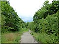 Cycle route following route of old railway