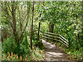 Highland Core Path RC 33.05 Burn Place to Primary School, Munlochy