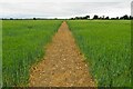 Bridleway to Tackley