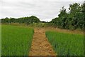 Footpath to Tackley