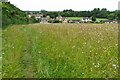 Footpath through the meadow into Tackley