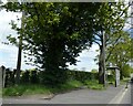 Bus shelter on A51, Vicarscross