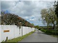 Panel fence and hedge, off Willington Road, Oscroft