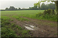 Arable field, Farnham