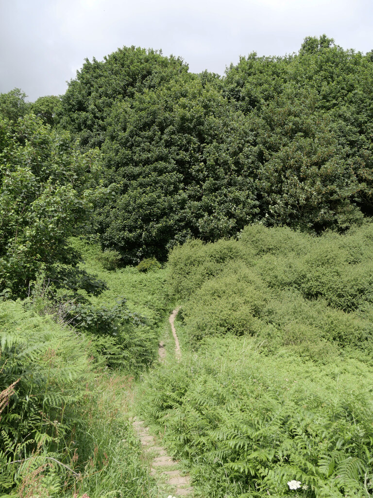 The Cleveland Way approaching Sycarham... © habiloid cc-by-sa/2.0 ...