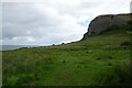 Field beside the Little Orme