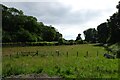 Field beside Colwyn Road