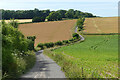 Track and farmland, Old Alresford